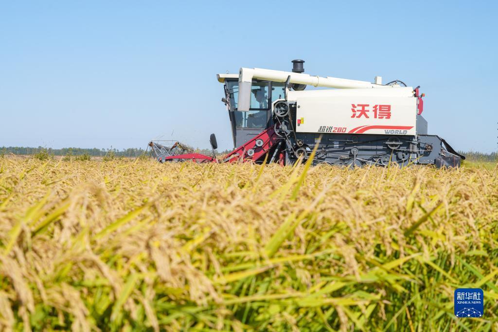 银河网站登录1331